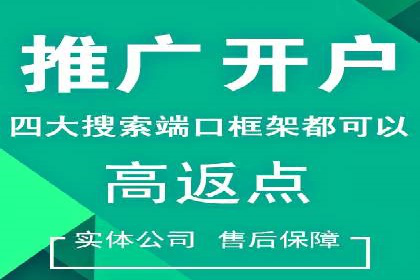 优化SEM广告投放：成功案例分享